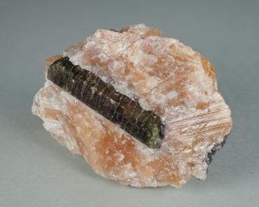 Fluorapatite XL